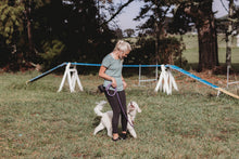 Load image into Gallery viewer, 4-Week Puppy Course