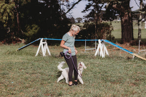 4-Week Puppy Course